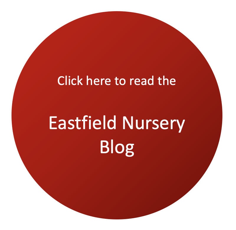 Click here to read the Eastfield Nursery Blog!